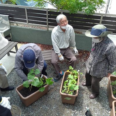 レクリエーション