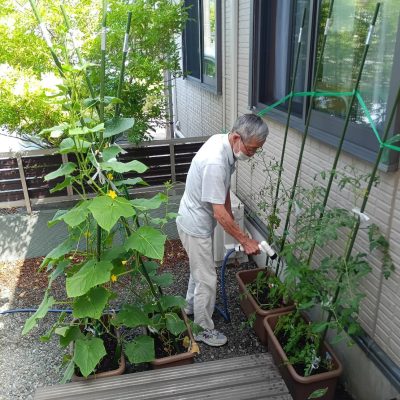水やり