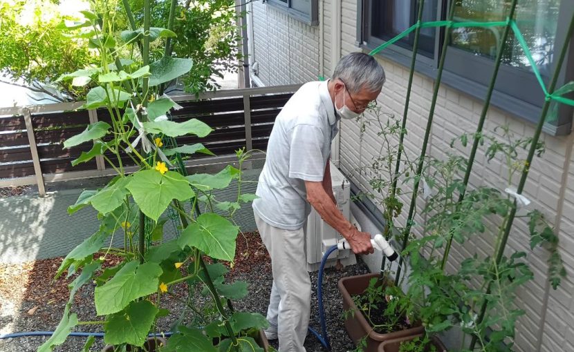 水やり