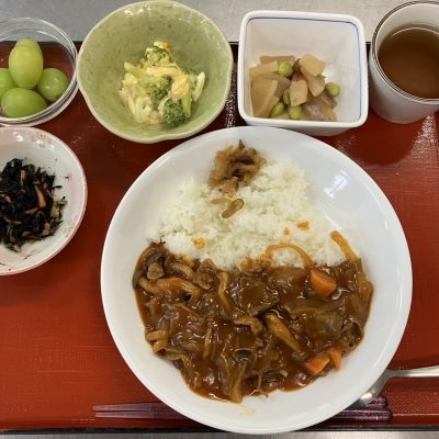 ハヤシライス
