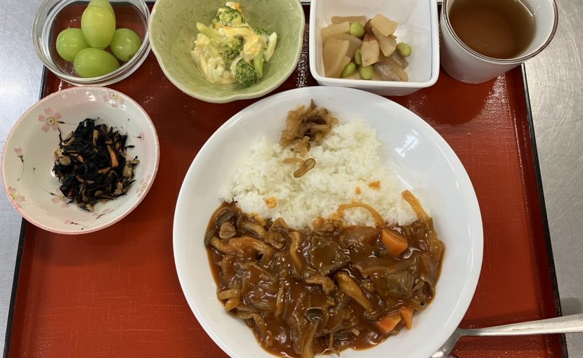 ハヤシライス
